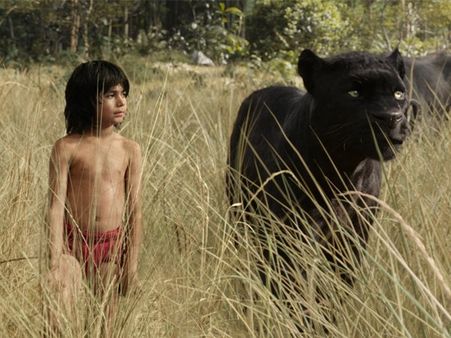 Flash News! The Jungle Book Sequel Confirmed!