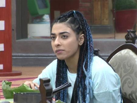 Bigg Boss 10: Contestant's Pay Details Revealed, Monalisa Paid Lowest, Bani Highest
