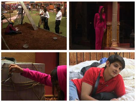 Bigg Boss 10 Spoiler: Rohan Mehra Might Become The Captain Again; Thanks To Manoj Punjabi!