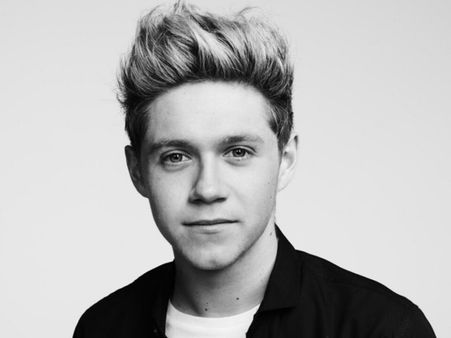 One Direction Band Will Soon Return Says Niall Horan