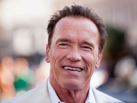 Arnold Schwarzenegger Shoots Down Senate Run Rumours