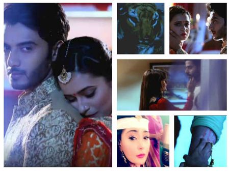 Jana Na Dil Se Door: Tiger Attacks Atharv & Vividha On Their First Night; New Girl In Ravish’s Life!