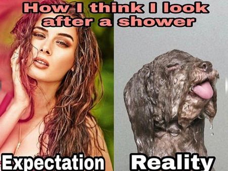 Evelyn Sharma Asks Fans To Create Her Own Memes! They End Up Creating A Laugh Riot