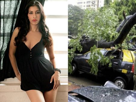 Mumbai Rains! A Tree Falls Right On Sophie Choudry's Car! Read What Other Celebs Have Tweeted