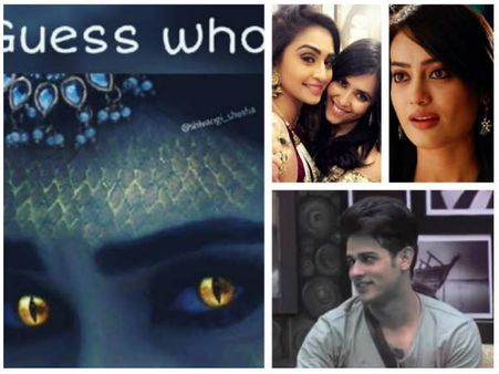Krystle D’Souza Or Surbhi Jyoti To Bag Naagin 3; Bigg Boss 11’s Priyank Sharma To Play Male Lead?