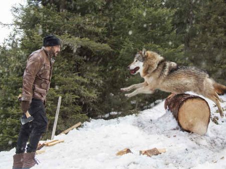OH-SO-DANGEROUS! Salman Khan Gets Attacked By A Pack Of Wild Wolves