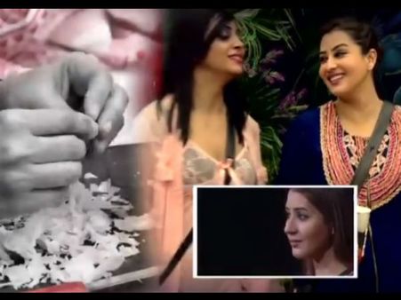 Bigg Boss 11: Reasons Why Shilpa Shinde Deserves To Win The Show; Watch Her BB 11 Journey