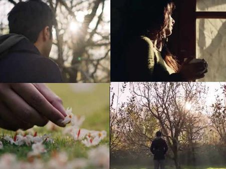 DIFFERENT SHADE OF LOVE! Varun Dhawan-Banita Sandhu's October Teaser Will Give You MUSHY FEELS