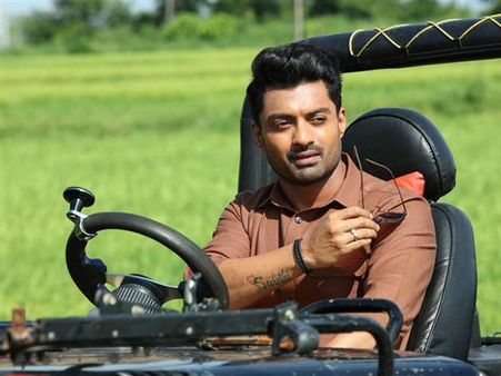 MLA Review: Follows A Routine Template!