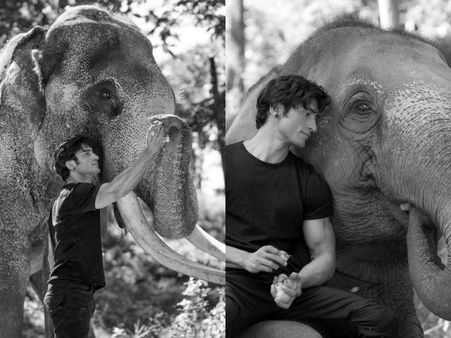 Vidyut Jammwal Becomes An Elephant Whisperer For Junglee!
