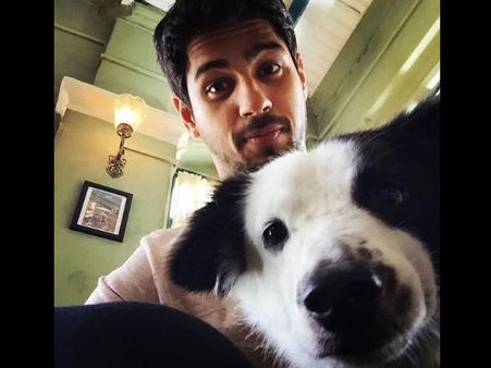 Sidharth Malhotra Urges PM For 'Stronger Penalties' Against Those Who Abuse Animals
