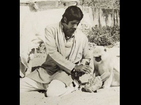 When Amitabh Bachchan Was SLAPPED By A Langur On A Film's Set For Ignoring Him!