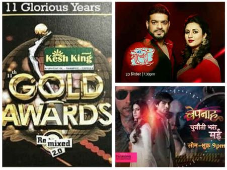 Gold Awards 2018: Divyanka Tripathi, Karan Patel, Hina Khan, Nakuul Mehta & Others Nominated!