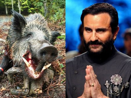 Saif Ali Khan Gets Notice From Bulgarian Govt For Wild Boar Hunting