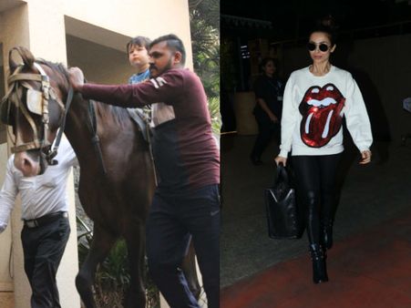 Cutie Taimur Goes For Another Horse Ride; Malaika Arora’s Fab Airport Look