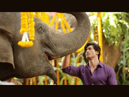 Vidyut Jammwal: Junglee Is A Must Watch For Families & Children!
