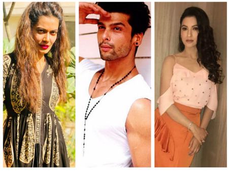 Payal Rohatgi Says Gauahar Was In An Unsuccessful Relationship With A Hindu Guy; Kushal Slams Payal!