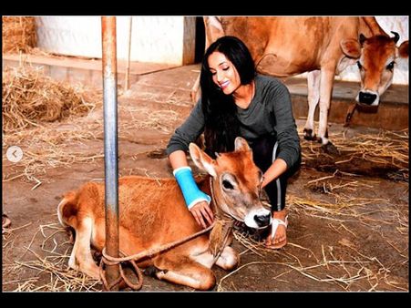 Srinidhi Shetty’s Injured & This Picture Is The PROOF! Will She Take A Break From KGF 2 Shoot?