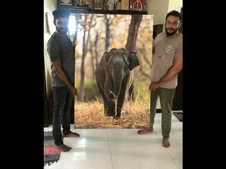 Darshan Sells His Wildlife Picture To A Kannada Actor For A Whopping Amount! Guess The Price?