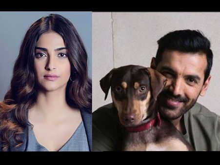 Sonam Kapoor Reports Abuse Of A Dog In Mumbai; John Abraham Wishes People Were More Sensitive