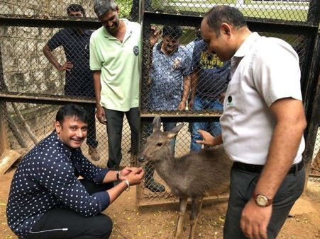 Darshan Names Tiger After Son Vineesh! Renews Adoption Of Wildlife At Mysuru Zoo