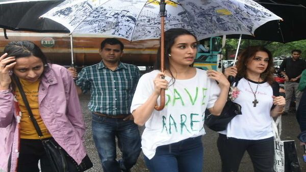 Varun Dhawan To Shraddha Kapoor: Bollywood Celebs Express Anger Over Aarey Colony Trees Being Razed