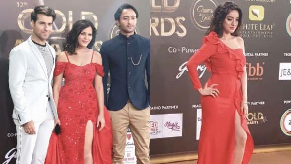 Gold Awards 2019 Red Carpet Pictures: Deepika Singh, Shaheer Sheikh, Kaveri Priyam & Others DAZZLE