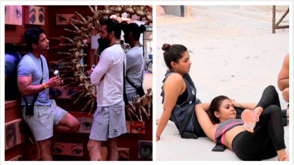 Bigg Boss 13: Devoleena Bhattacharjee Or Vishal Aditya Singh – Who Will Be The Next Captain?