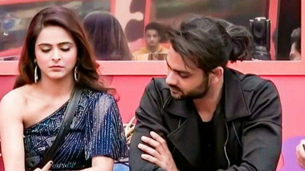 Bigg Boss 13: Madurima Says Vishal Had Hit Her In Past; Adds She Was Mentally Traumatised
