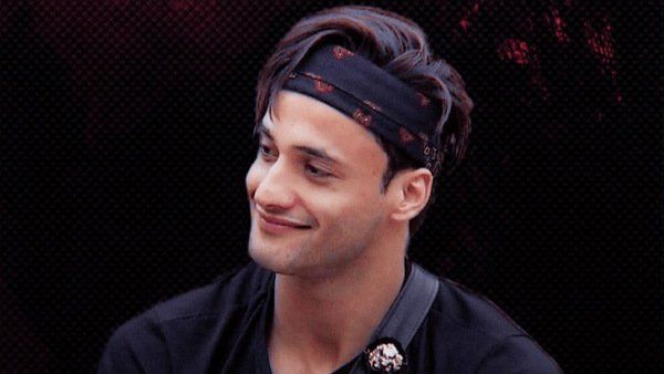 Asim Riaz On Bigg Boss 13 Journey: ‘I Came So Far And People Showered So Much Love, I Feel Blessed’