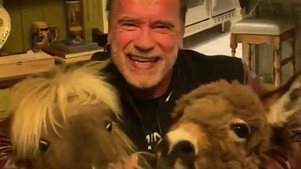 Coronavirus: Arnold Schwarzenegger Advocates Self Isolation, 'You're Not Allowed Outside Your House'