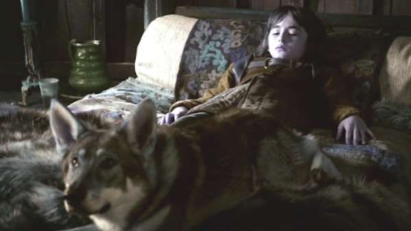 Bran Stark's Direwolf In 'Game of Thrones' Dies Of Cancer At Age 10