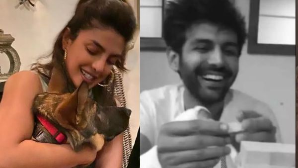 Coronavirus: Here's What Priyanka Chopra & Other Celebs Are Up To While Practicing Social Distancing