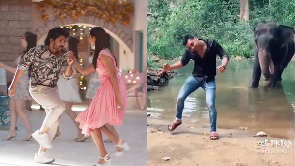 Ala Vaikunthapurramuloo: Allu Arjun's Butta Bomma Song TikTok Video With Elephant Goes Viral