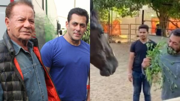 Salman Khan Keeps In Touch With Dad Salim Khan Through Video Calls; Enjoys Breakfast With Horse