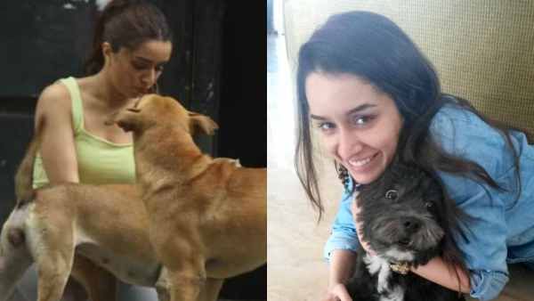 Shraddha Kapoor Contributes To Help Feed Stray Animals During Coronavirus Lockdown