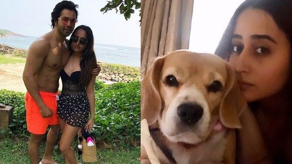 Varun Dhawan's Quirky Birthday Wish For Girlfriend Natasha Dalal: 'I Choose You Over The UFC'