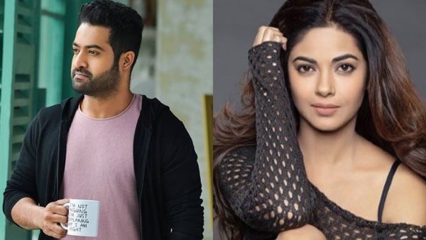Jr NTR Fans Abuse Meera Chopra On Social Media For This Reason!