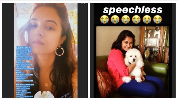 Disha Salian Death: Bharti, Rashami & Saumya Saddened Over Sushant Singh Rajput’s Ex-Manager’s Death
