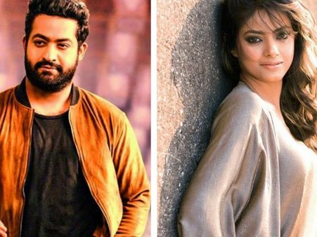 Meera Chopra Vs Jr NTR Fans: Here Are The Sections Slapped Against The Offenders!
