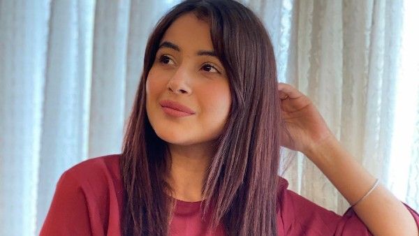 Shehnaaz Gill Is Earning Huge Money From Endorsements Than Asim Riaz And Other TV Stars!