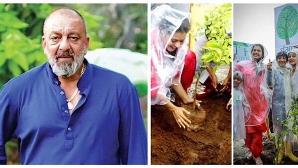 World Environment Day 2020: Bollywood Stars On Celebrating Mother Earth In Pandemic Times