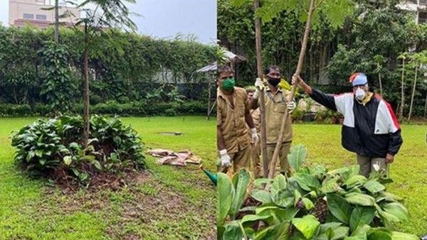 Amitabh Bachchan Steps Out For The First Time Post COVID-19 Recovery; Plants Sapling In Mom's Memory