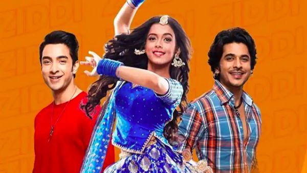 Megha Ray Opens Up About Dil Yeh Ziddi Hai Abruptly Going Off Air Due To COVID-19 Lockdown