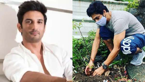 Mukesh Chhabra, Mahesh Shetty Plant Saplings To Fulfil One Of Sushant Singh Rajput's 50 Dreams