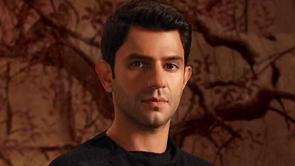 Arjun Mathur On Bagging An Emmy Nomination: Did Not Receive Validation On Home Turf For Years