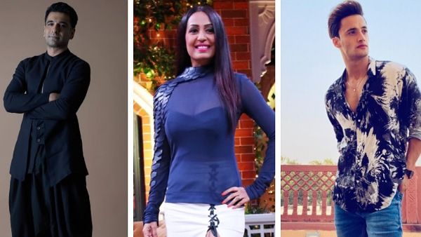 BB 14: Netizens Troll Kashmera Shah For Comparing Eijaz With Asim; Call Her Attention Seeker