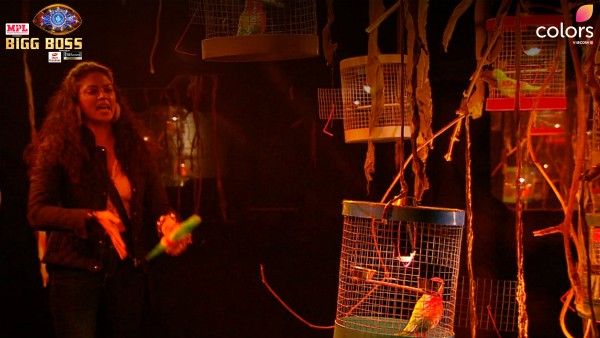 Bigg Boss 14 November 23 Highlights: Captain Kavita Saves Eijaz And Nominates Aly For Eviction