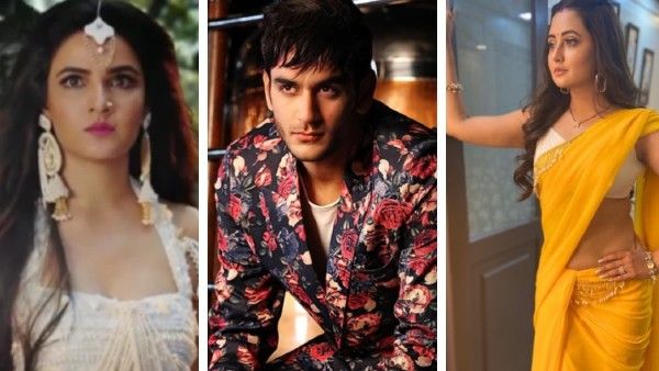 Naagin 4: Was Vikas Gupta Responsible For Jasmin Bhasin's Exit? Did He Help Rashami Bag The Role?