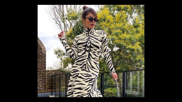 Priyanka Chopra And Her Pooch Diana’s ‘White Tiger’ Moment Is All Things Chic; See Post